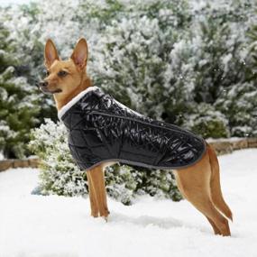 img 3 attached to Оставайтесь в тепле и в безопасности со светоотражающим водонепроницаемым пальто для собак HAOCOO'S для крупных пород