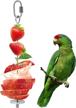 yiquan feeders stainless vegetable foraging birds logo