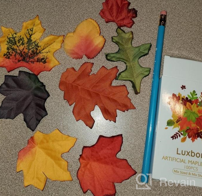 img 1 attached to Luxbon 100Pcs Artificial Autumn Fall Maple Leaves Multi Colors Great Autumn Table Scatters For Fall Weddings & Autumn Parties(8 Styles Mixed) review by Rachel Lott