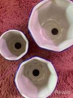 img 1 attached to Set Of 3 Ceramic Planters 817 - Blue And White Flower Pots With Drainage Hole, 7.5+5.5+4.1 Inch review by Scott Galloway