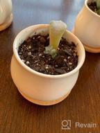 картинка 1 прикреплена к отзыву ZOUTOG 12 Pack Succulent Pots: Mini Ceramic Flower/Cactus Planters with Drainage Hole - Small pots for Plants (Plants Not Included) от Clete Dean
