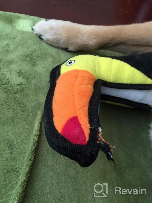 img 1 attached to World'S Toughest Soft Dog Toy - Zoo Junior Toucan By TUFFY: Durable And Strong, Perfect For Interactive Play (Tug, Toss, And Fetch). Machine Washable And Floats. review by Flip Shaw