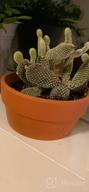 img 1 attached to Set Of 2 POTEY 6.1" Terracotta Planters W/ Drainage Hole For Succulent & Cactus review by Juan Russell