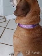 img 1 attached to Taglory Personalized Dog Collars, Embroidered Reflective Dog Collar With Name And Phone Number, Adjustable Nylon Dog Collar For Medium Dogs, Pink review by Rocco Guale