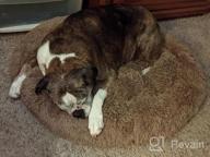 img 1 attached to Ultimate Comfort With PUPPBUDD'S Self-Warming Faux Fur Dog Bed - Perfect For Small Dogs Up To 35Lbs review by Joseph Winfrey