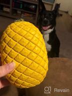 img 1 attached to Sugelary Squeaky Dog Toys For Aggressive Chewer Large Medium Breed Dog, Indestructible Tough Durable Dog Chew Toys With Natural Rubber review by Ricky Brooks