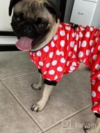 img 1 attached to Cute And Cozy: Red Striped Dog Hoodie With Hat By CuteBone DH01S review by John Young