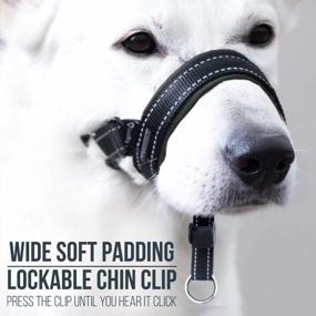 img 2 attached to Say Goodbye To Pulling With GoodBoy Dog Head Halter - Safety Strap And Padded Headcollar For All Dog Sizes (Size 2, Black)