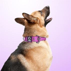 img 2 attached to TSPRO Tactical Collar Military Purple M