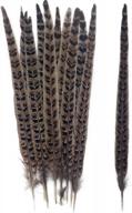 pack of 20 natural pheasant tail feathers - ideal for crafts, decorations, and costumes - 10-12 inch length - perfect for festival parties, christmas ornaments, and hat accessories логотип