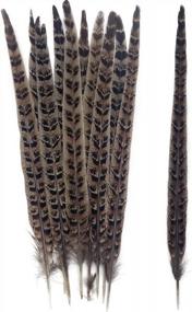 img 1 attached to Pack Of 20 Natural Pheasant Tail Feathers - Ideal For Crafts, Decorations, And Costumes - 10-12 Inch Length - Perfect For Festival Parties, Christmas Ornaments, And Hat Accessories