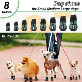 img 3 attached to 🐾 Waterproof Dog Boots with Reflective Straps and Non-Slip Soles, Dog Shoes for Hot Pavement, Hardwood Floors, and Outdoor Hiking - Set of 4 Booties for Small, Medium, Large Dogs