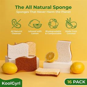img 3 attached to 🍋 Koolgyrl Natural Kitchen Sponges Scrubber Lemon Infused - Non-Scratch, Extra Fine Coconut-Soft Absorbent Cellulose - 16 Pack Biodegradable Eco-Friendly Compostable Dishwashing