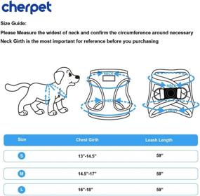 img 3 attached to 🐾 CHERPET Plaid Puppy Harness and Leash Set - Adjustable Small Dog Full Body Vest, Escape Proof Safety, No Pull Halter, Breathable Mesh, Comfort Fit for Walking Outdoors, Cute Design for Kittens and Small Animals