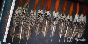 img 5 attached to Sowder 50Pcs Blue Peacock Plumage Feathers 1-3 Inches Home Wedding Decoration