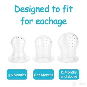 img 2 attached to 🍍 Diverse Baby Fruit Feeder Pacifier Set - Fresh Food Teething Toy, 2 Pack with 6 Silicone Sac, 1 Pacifier Clip (Blue)