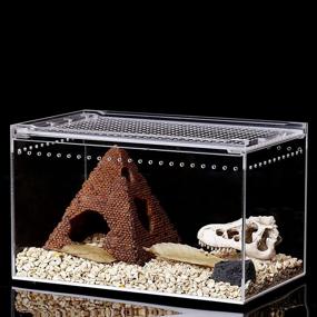 img 4 attached to 🐍 NANEEZOO Magnetic Acrylic Enclosure: 10x6x6 Inch Reptile Habitat Terrarium Cage for a Wide Range of Creatures