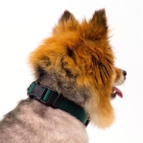 img 3 attached to 🐾 Discover Vibrant American-Made Dog Collars in 25+ Colors from Country Brook Petz