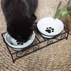 img 3 attached to Стильная и практичная керамическая миска для домашних животных с нескользящей металлической подставкой - идеально подходит для кошек, маленьких собак и щенков