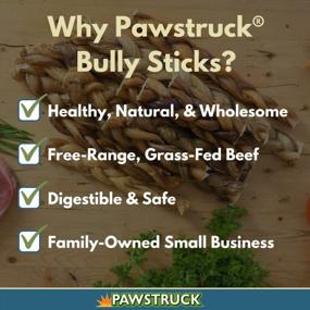 img 4 attached to Healthy And All-Natural 12 Inch Braided Bully Sticks For Dogs: Chemical-Free Dental Treats With Low Odor, Available In Bulk Packs Of 5