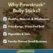healthy and all-natural 12 inch braided bully sticks for dogs: chemical-free dental treats with low odor, available in bulk packs of 5 logo