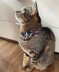 img 1 attached to 🐱 2-Pack Valentine's Day Cat Collar Set, Breakaway with Bow Tie Bow and Bell for Kitty, Removable Adjustable Accessories, Safety Kitten Collar Love Heart - SOGAYU