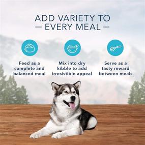 img 1 attached to 🐶 Blue Buffalo Wilderness Trail Trays - High Protein, Natural Wet Dog Food for Adult Dogs - 3.5-oz Cups