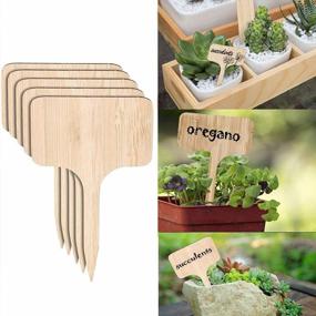 img 1 attached to 50-Pack Mziart T-Type Bamboo Plant Labels With Waterproof Marker Pen - Ideal Wooden Garden Markers For Seeds, Potted Flowers, Herbs, And Vegetables (4 X 2.36 Inch)
