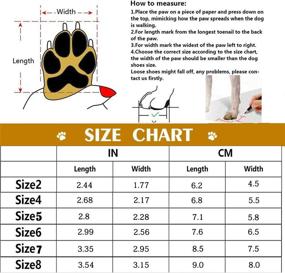 img 1 attached to Monlida Protective Waterproof Adjustable Wear Resistant Dogs