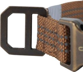 img 2 attached to Enhance Your Dog's Safety with Carhartt's Reflective Webbing Collars for Pets