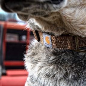 img 1 attached to Enhance Your Dog's Safety with Carhartt's Reflective Webbing Collars for Pets