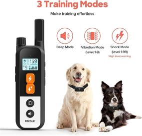 img 3 attached to PECOLE Dog Training Collar for 2 Dogs: Waterproof Rechargeable Shock Collar with Remote for Small, Medium, and Large Dogs - Electronic Dog Collars with Beep, Vibration, and Shock Modes