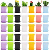 hedume 70 pack mini plastic flower seedling nursery pot with pallet, 3" colorful square plant pot, indoor outdoor flower plant container, decor for your room, garden, office and balcony ( 7 colors ) logo