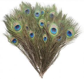 img 3 attached to 20Pcs Natural Peacock Feathers 10-12In - Great For Christmas, Halloween, Home Decor & Weddings!