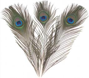 img 1 attached to 20Pcs Natural Peacock Feathers 10-12In - Great For Christmas, Halloween, Home Decor & Weddings!