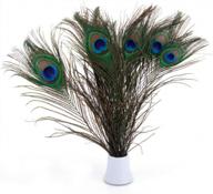 20pcs natural peacock feathers 10-12in - great for christmas, halloween, home decor & weddings! logo