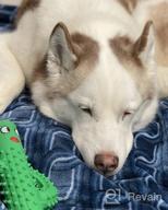 img 1 attached to Durable Squeaky Dog Toys For Aggressive Chewers - Rmolitty Tough Rubber Dental Chew Toys For Large, Medium & Small Breeds (Green) review by Predrag Holman