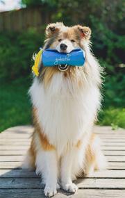 img 2 attached to 🐾 goodestboi Treat Bag: The Ultimate Dog Training Companion - Durable Training Dummy for Treats and Retrieval - Convenient Dog Treat Pouch