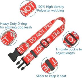 img 2 attached to 🐾 Durable DWOOFG Dog Collar for Medium to Large Dogs - Letter Service Dog in Training for Emotional Support; Mama Says I'm Special, with Sturdy Buckle