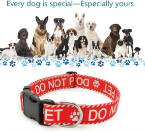 img 3 attached to 🐾 Durable DWOOFG Dog Collar for Medium to Large Dogs - Letter Service Dog in Training for Emotional Support; Mama Says I'm Special, with Sturdy Buckle