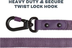 img 1 attached to BarkBox Training Leash Feet Purple