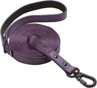 barkbox training leash feet purple logo