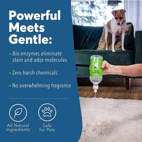 img 1 attached to 🐾 Kinderbean Pet Co. 22 oz. Pet Stain and Odor Eliminator: Grapefruit Tea Tree Scent with Enzyme Bio-Active Formula for Maximum Coverage and Performance