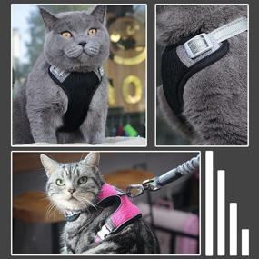 img 2 attached to 🐱 Gardenlor Cat Harness and Leash Set: Soft Adjustable Vest for Outdoor Walking - Escape Proof, Reflective Strip, Breathable Jacket for Kittens (Black, M, Medium)