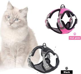 img 3 attached to 🐱 Gardenlor Cat Harness and Leash Set: Soft Adjustable Vest for Outdoor Walking - Escape Proof, Reflective Strip, Breathable Jacket for Kittens (Black, M, Medium)