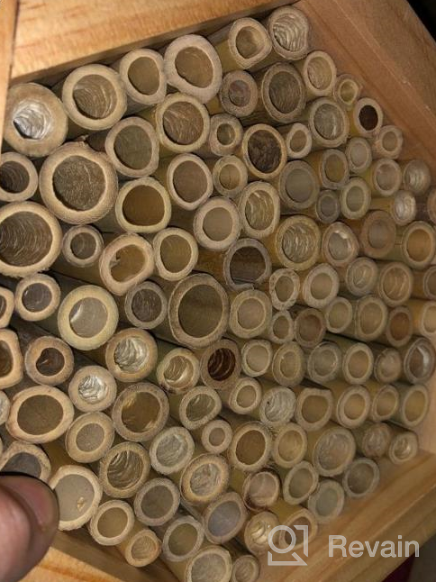 img 1 attached to Boost Your Garden'S Pollination With KIBAGA'S Handmade Bamboo Mason Bee House - A Haven For Productive And Peaceful Bee Pollinators! review by Sheila Osorio