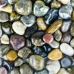 enhance your indoors and outdoors with galashield's polished pebbles for plants, vases, aquariums and landscaping - 5 lb bag logo