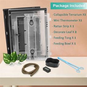 img 3 attached to 🦎 NEPTONION Reptile Terrarium Kit: Complete with Thermometer, Tong, Bowl, and Decorations. Ideal for Gecko, Chameleon, Lizard, Iguana, Snake, Bearded Dragon Breeding Enclosures