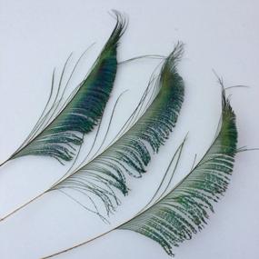 img 2 attached to Sowder Natural Peacock Sword Feathers 10-15 Inches For Wedding Home Decoration Pcak Of 50