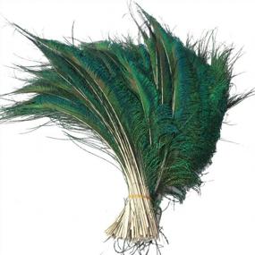 img 3 attached to Sowder Natural Peacock Sword Feathers 10-15 Inches For Wedding Home Decoration Pcak Of 50